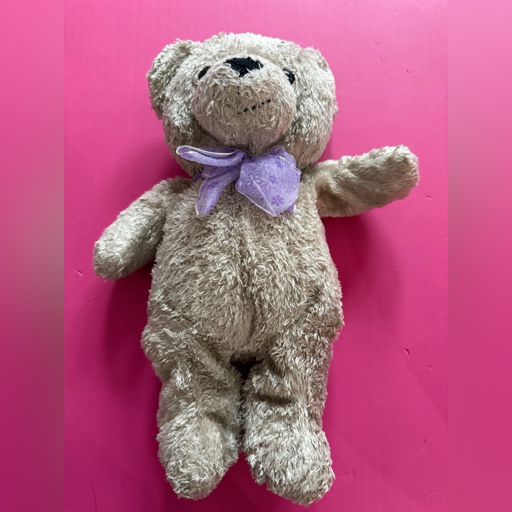 Teddy Bear,my 9 year old granddaughter selling this it would help her ear money💕
